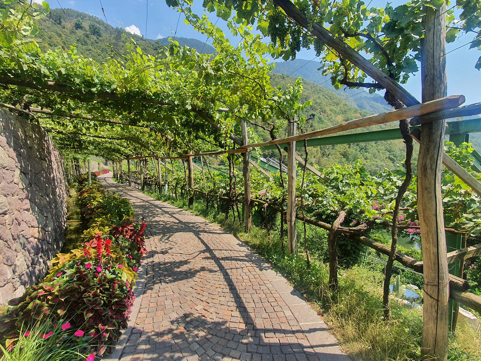 Trautmansdorf, Merano